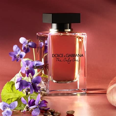 dolce gabbana drama|dolce gabbana the one notes.